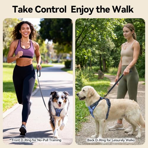 No Pull Dog Harness Reflective Adjustable with 2 Metal Leash Hooks (Small / Baby Blue)
