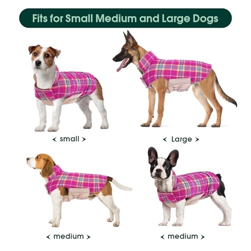 Waterproof Dog Coat (Rose / X-Small (Pack of 1))
