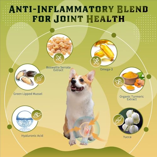 Glucosamine for Dogs