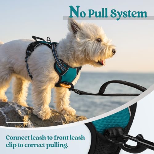 Dog Harness No Pull for Small Dogs with 2 Leash Clips (X-Small / Blue Coral)