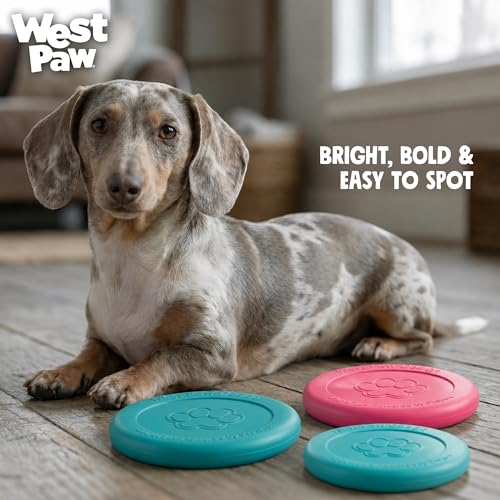 Zogoflex Zisc Dog Flying Disc (Small / Geranium)