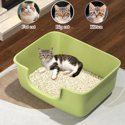 Large Cat Litter Box with High Sides (Green)