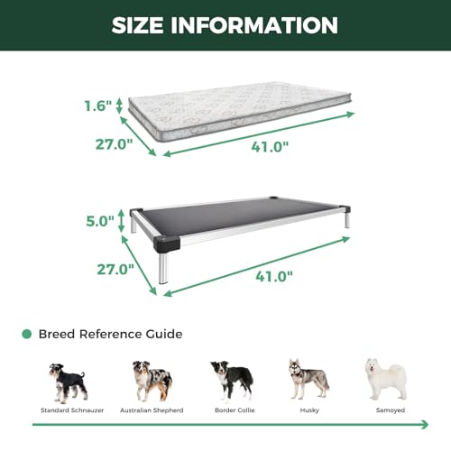 TitanNest Padded Chew (Gray / Medium Dog (41.0"L x 27.0"W x 5.0"H) + Cover)