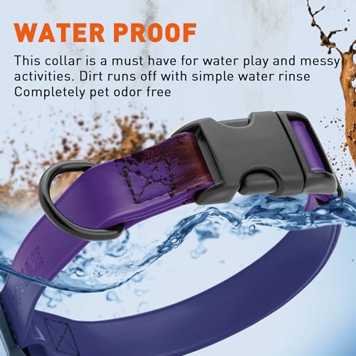 Biothane Waterproof Dog Collar with Quick Release Buckle Strong Coated Nylon Webbing with Odor (1"W by 15-25"L / Violet Purple)