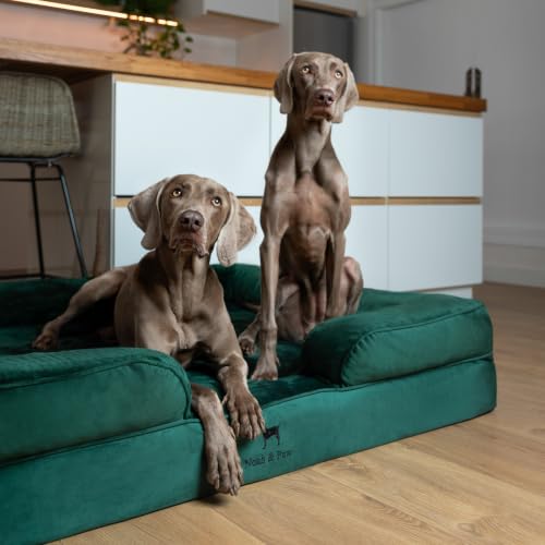 XXL Dog Bed Orthopedic Memory Cooling Foam (Dark Green - VE / XX-Large)