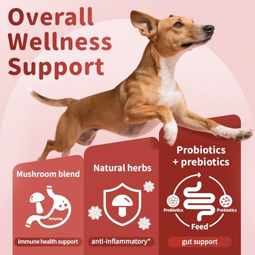 Dog Allergy Chews (90 Count (Pack of 1))