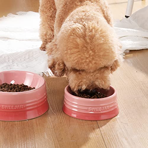 Sweejar Ceramic Dog Bowl (Large (32oz) / Gradient Pink)