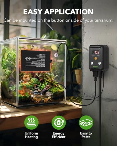 Durable Reptile Heating Pad 8" X 12" with Digital Thermostat Under Tank Heater Terrarium Warmer Combo Set for Turtles (8" X 12" with Thermostat)