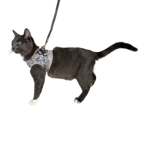 Travel Cat Harness and Leash Set (X-Small / Cash Cat)