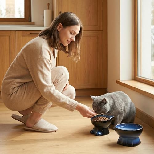 Elevated Cat Bowls (6.8 OZ+15.5 OZ / Blue & Black)