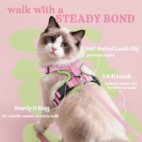 Cat Harness and Leash for Walking