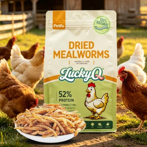 5lbs Dried Mealworms for Chickens Duck High Protein Birds Treat (80 Fl Oz (Pack of 1))
