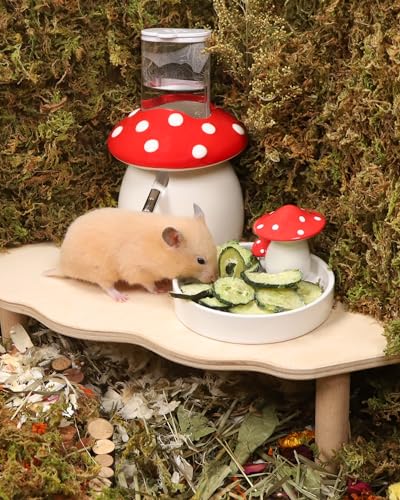 Hamster Snack & Treats Toy
