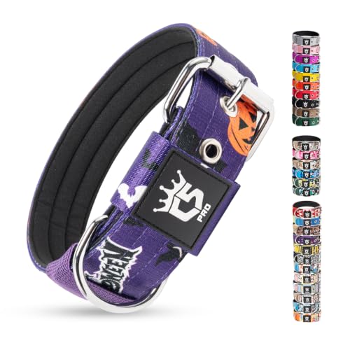 Heavy Duty Thick Dog Collar with Metal Buckle for Medium Dogs (M – Fits Neck 15.8"-18.9" / Halloween Purple)