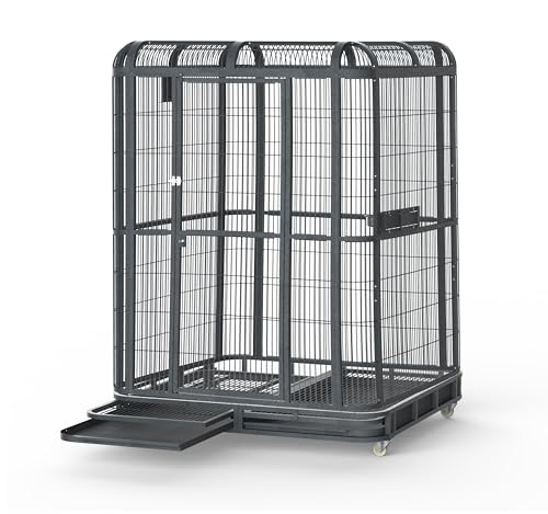 A&E Cage Co WI6262 Walk (62.0"L x 62.0"W x 79.0"H)