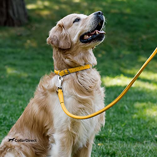 Tangle Free Rolled Leather Dog Collar (Yellow / XS)