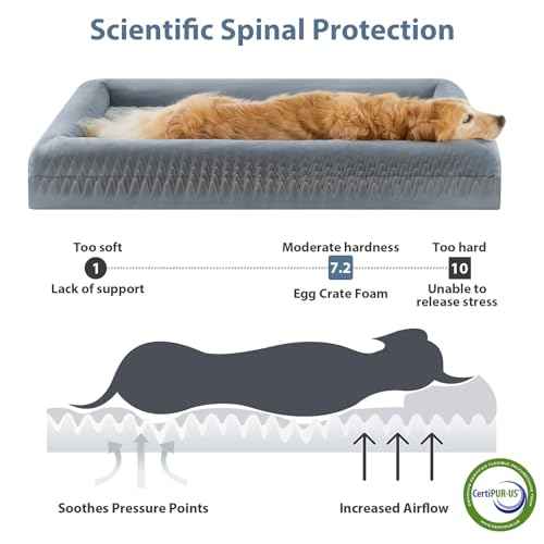 XXL Extra Large Orthopedic for Senior Dog BedComfy Sleeping (Grey / XX-L (45x35x7in))