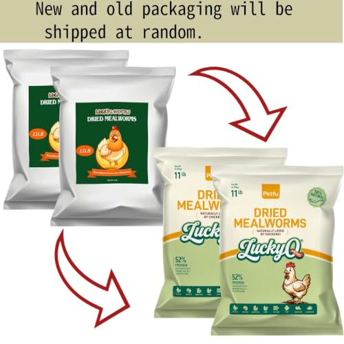 22lb Dried Mealworms for Chickens Duck High Protein Birds Treat (22 Pound (Pack of 1))