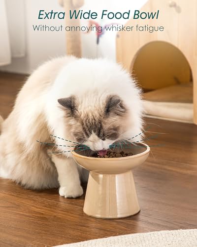 2 Pack Elevated Cat Food Bowls (Brown)