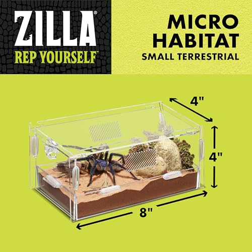 Micro Habitat Terrarium (Small / Terrestrial / Clear)