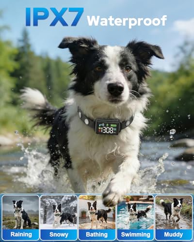 GPS Wireless Dog Fence System (Black)