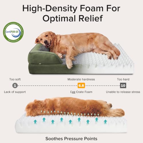 L Plus Orthopedic Dog Bed for Large Dogs (Green / L- PLUS (38"x 28"x 7"))