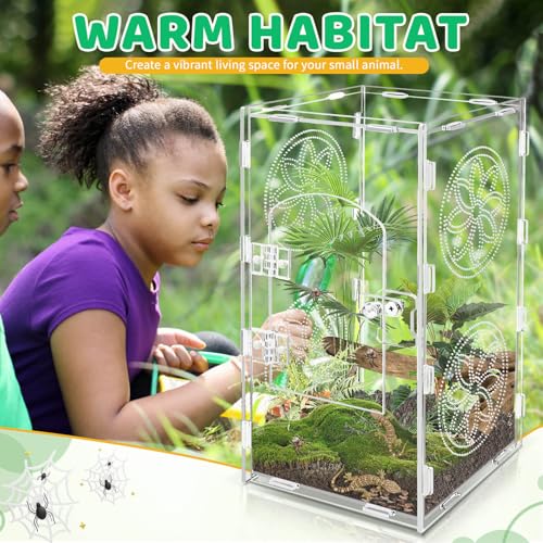 Large Jumping Spider Enclosure (transparent / 11.8*6)