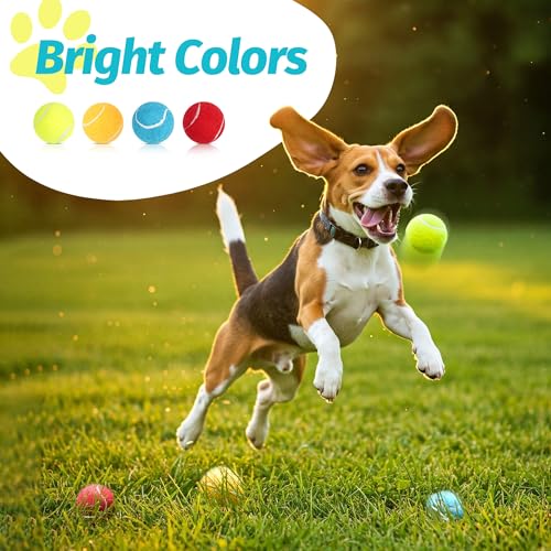 Tennis Balls for Dogs (2.5" Squeaky / 12 Pack, 4 Colors)