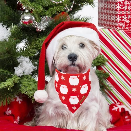 Christmas Dog Bandanas 2 Pack (Small / Christmas)