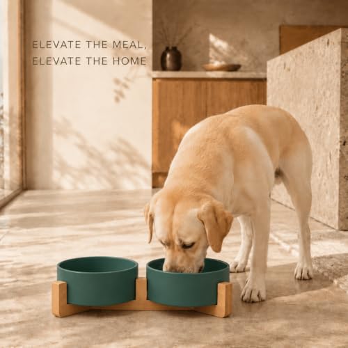 Ceramic Dog and Cat Bowl Set with Wooden Stand (7.6 cups / Green × 2)