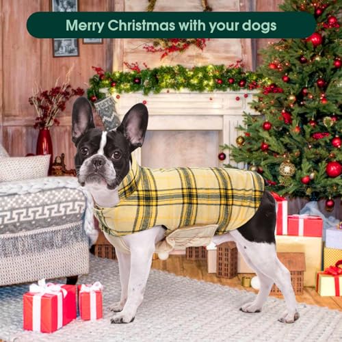 Waterproof Dog Coat (Yellow / 2X-Large (Pack of 1))