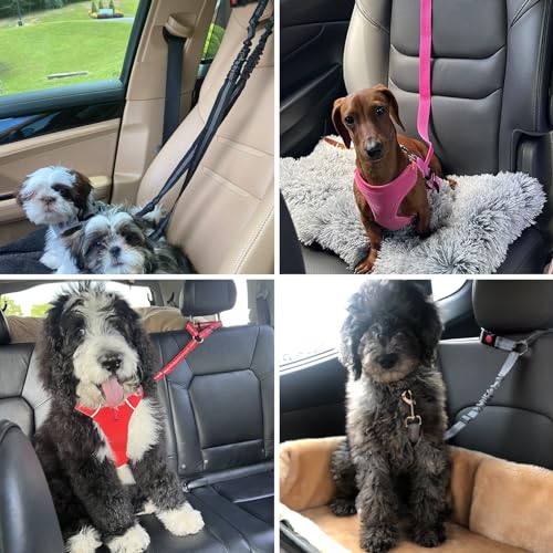 Dog Seat Belt for Car (Dark Blue)