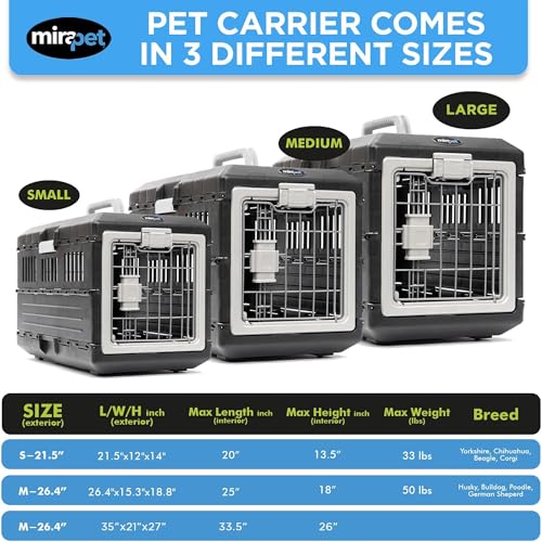 Collapsible Pet Carrier (Medium - Gray / without kit)