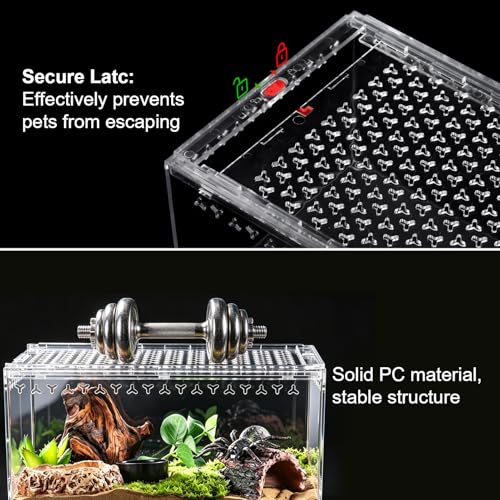 Tarantula Enclosure Spider Terrarium Hermit Crab Tank Large (L-Only Terrarium)