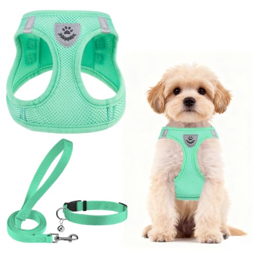 Dog Harness Collar and Leash Set No Pull for Small Medium Sized (Solid Green / S (CHEST 14.5"-16"))