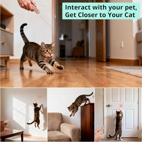 Cat Toy with Metal Case (Rose gold)
