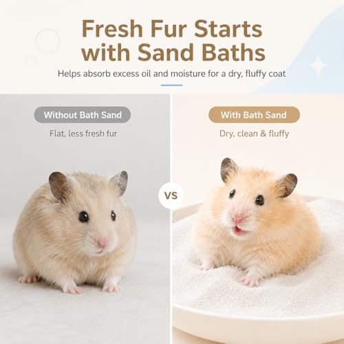 Bath Sand for Hamster 2.2 lbs Dust Free Desert Sand or Potty Litter Sand for Chinchillas Gerbil Syrian Mice Small Animals Trial Version 2.2 Lbs (bathsand1kg)