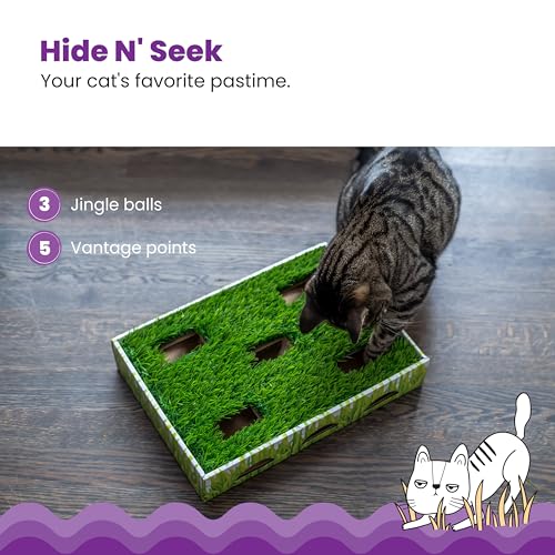 Grass Patch Hunting Box Cat Toy