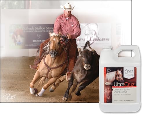 Equine Shampoo Plus for Horses