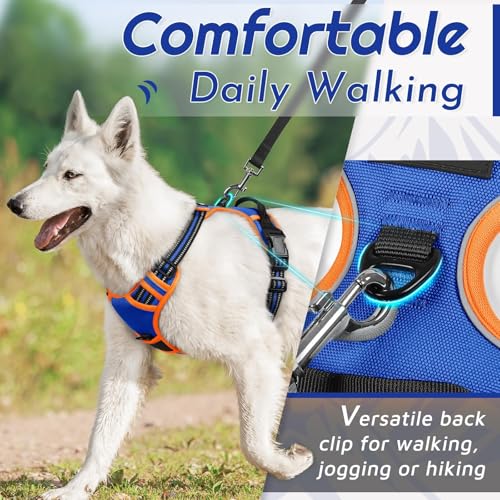 Dog Harness for Medium Sized Dogs (Medium / Blue & Orange)