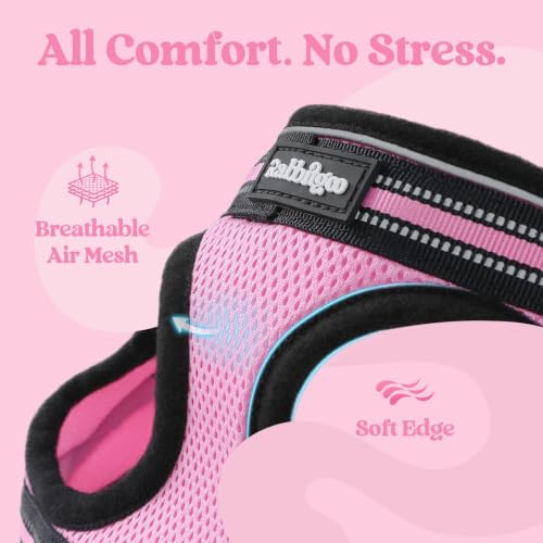 Cat Harness and Leash Set (M / Pink)
