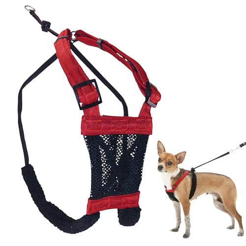 XS No Pull Dog Harness for Small Sized Dogs (X-Small / Red)