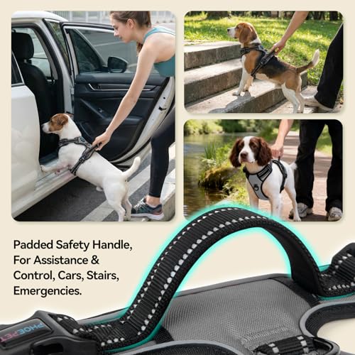 No Pull Dog Harness Medium Reflective Front Clip Vest with Handle (Medium / Gray)