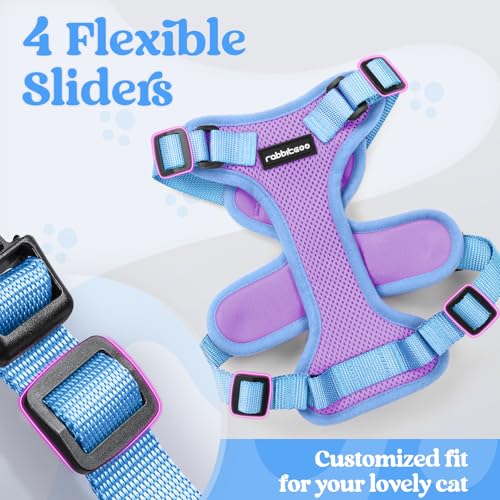 Cat Harness and Leash Set (Purple & Blue / Xs)