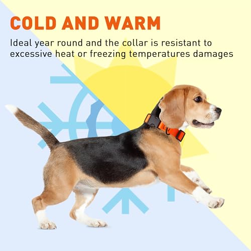 Biothane Waterproof Dog Collar with Quick Release Buckle Strong Coated Nylon Webbing with Odor (3/4"W by 12-19"L / Hunter Orange)