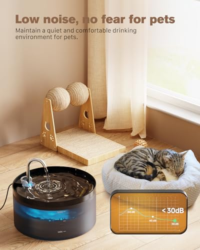 Black Cat Water Fountain