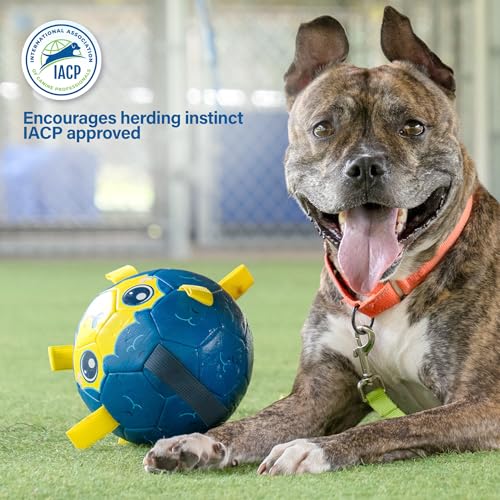 7.5" Jolly Soccer Ball for Dogs (Soccer Ball 7.5" (Ocean) / Mini 7.5")