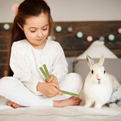 45 PCS Timothy Hay Sticks for Rabbits Natural Molar Teeth Stick Chew Toys for Bunnies Chinchillas Guinea Pigs Hamsters and Other Small Animals Treats (0.27 Ounce (Pack of 45))