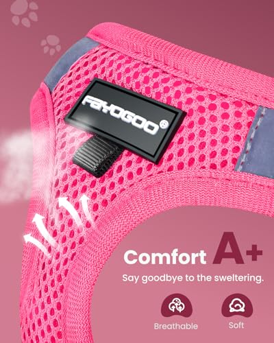 Cat Harness and Leash Set (Pink / XL(Chest 14-16"))