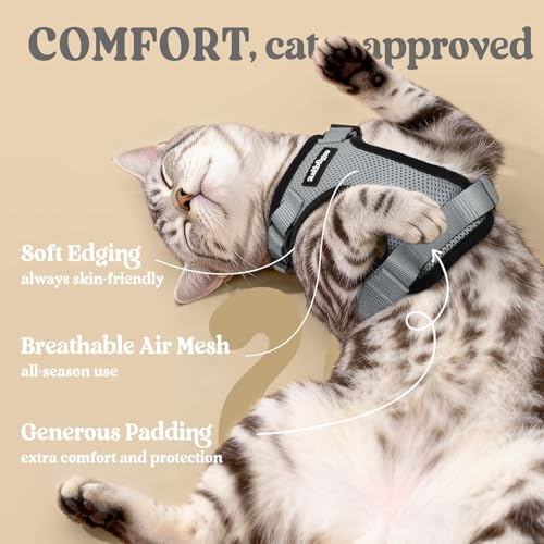 Cat Harness and Leash Set (Xs / Grey)